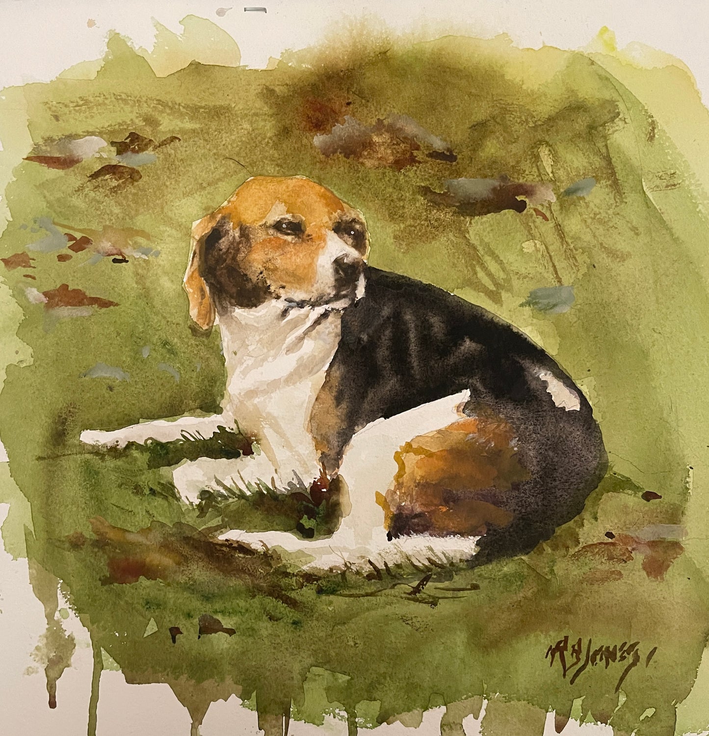 Pet Portrait