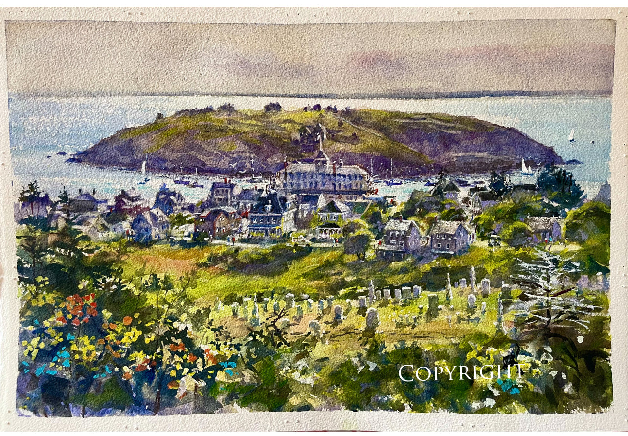 "View from Lighthouse Hill" Giclee Print
