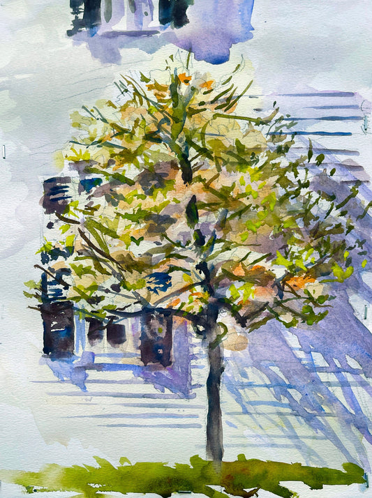 Paint Trees with Light A Simple Watercolor Method  By Richard Burke Jones - Downloadable PDF