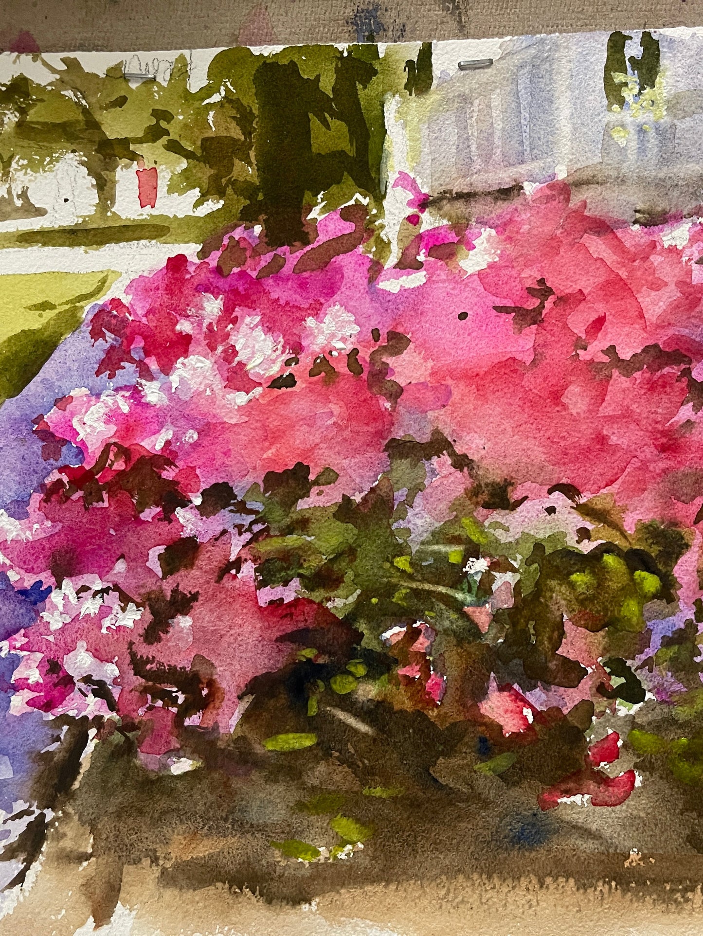 The Bloom - Azalea