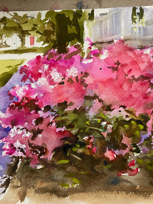 The Bloom - Azalea