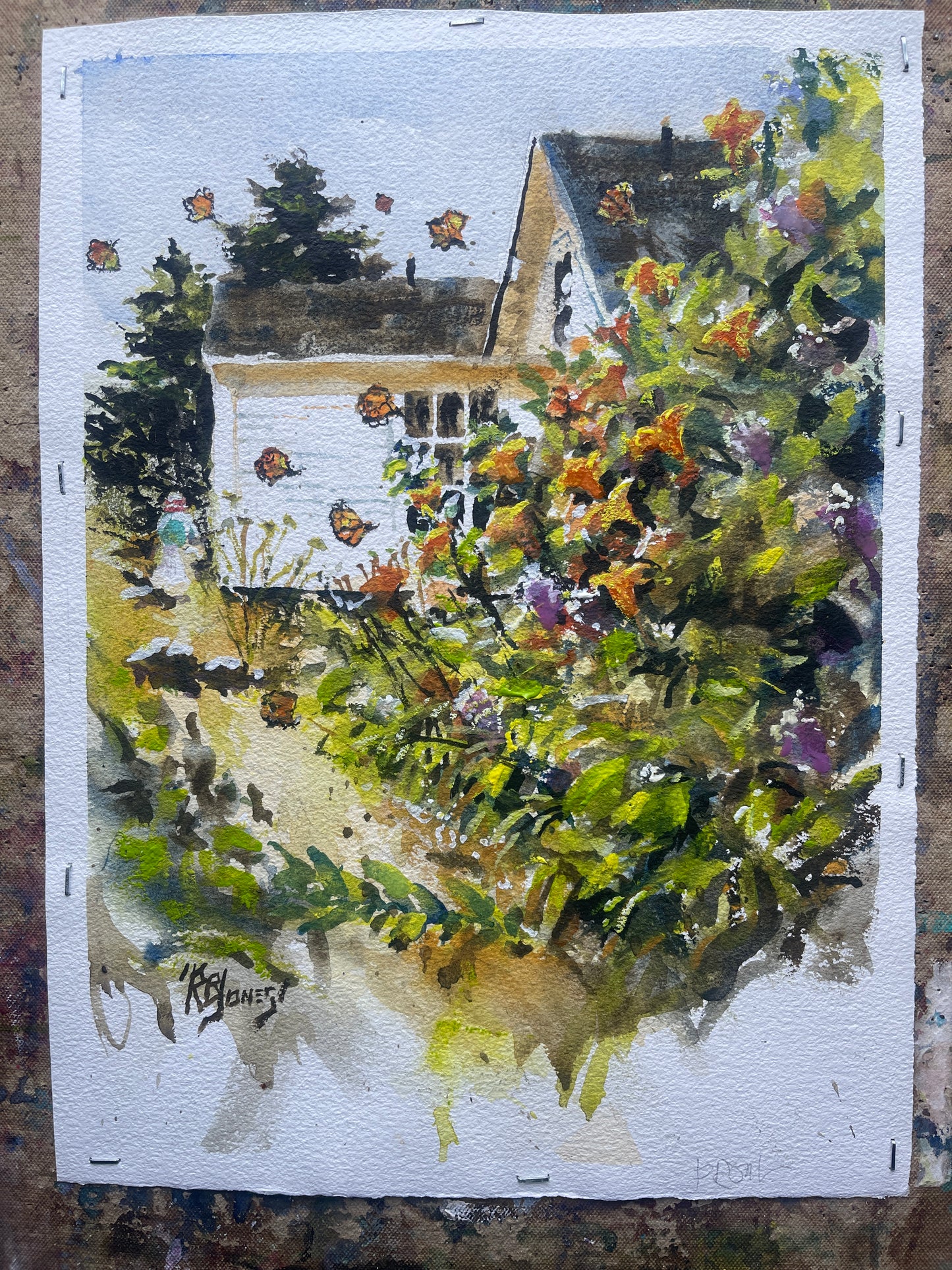 Monarchs along Lobster Cove Rd