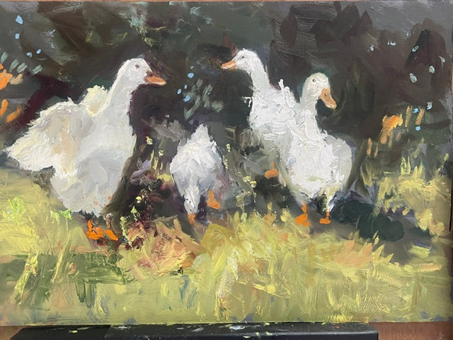 Geese Up Close