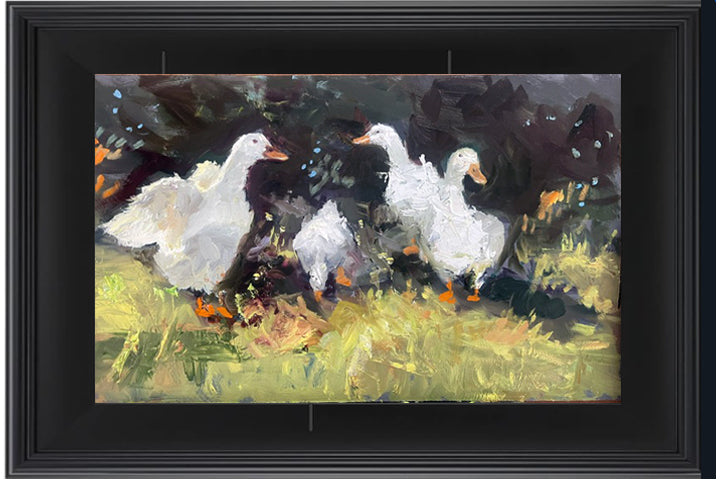 Geese Up Close
